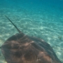 LAGOONARIUM BORA (14)