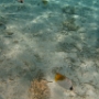 LAGOONARIUM BORA (16)