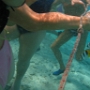 LAGOONARIUM BORA (17)