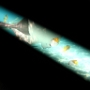 LAGOONARIUM BORA (2)