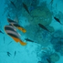 LAGOONARIUM BORA (20)