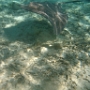 LAGOONARIUM BORA (6)