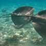 LAGOONARIUM BORA (7)
