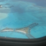 RETOUR (7)