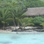 BUNGALOW BORA (12)