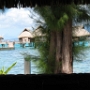BUNGALOW MOOREA (10)
