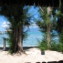 BUNGALOW MOOREA (5)