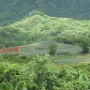 VISITE DE L ILE (15)