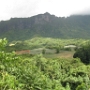 VISITE DE L ILE (16)