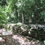 VISITE DE L ILE (5)
