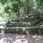 VISITE DE L ILE (7)